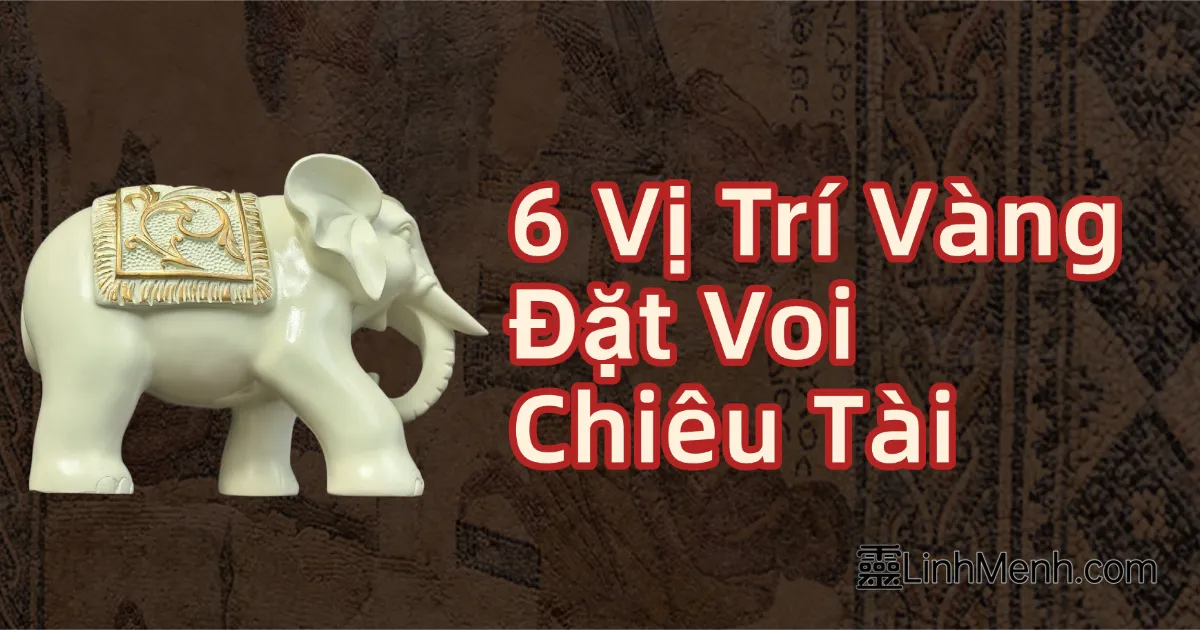 6 Vị Trí Vàng Đặt Voi Phong Thủy Giúp Trấn Trạch, Chiêu Tài Lộc