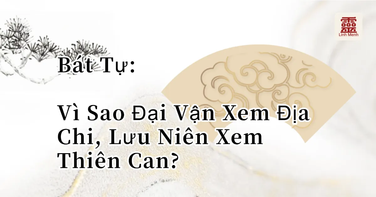 Vì Sao Đại Vận Xem Địa Chi, Lưu Niên Xem Thiên Can? Giải Thích Theo Bát Tự