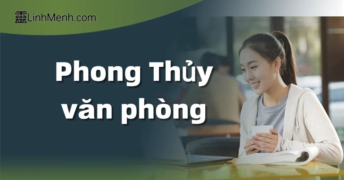 Phong Thủy Cây Cảnh Văn Phòng: 4 Đại Kỵ Dương Trạch Phải Biết Để Vượng Khí