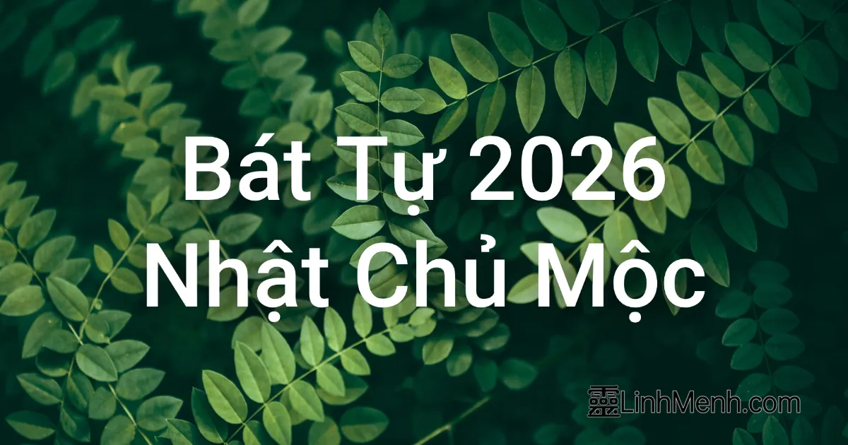 Bí Ẩn Bát Tự 2026: Kịch Bản Thành Công Cho Nhật Chủ Giáp Mộc & Ất Mộc