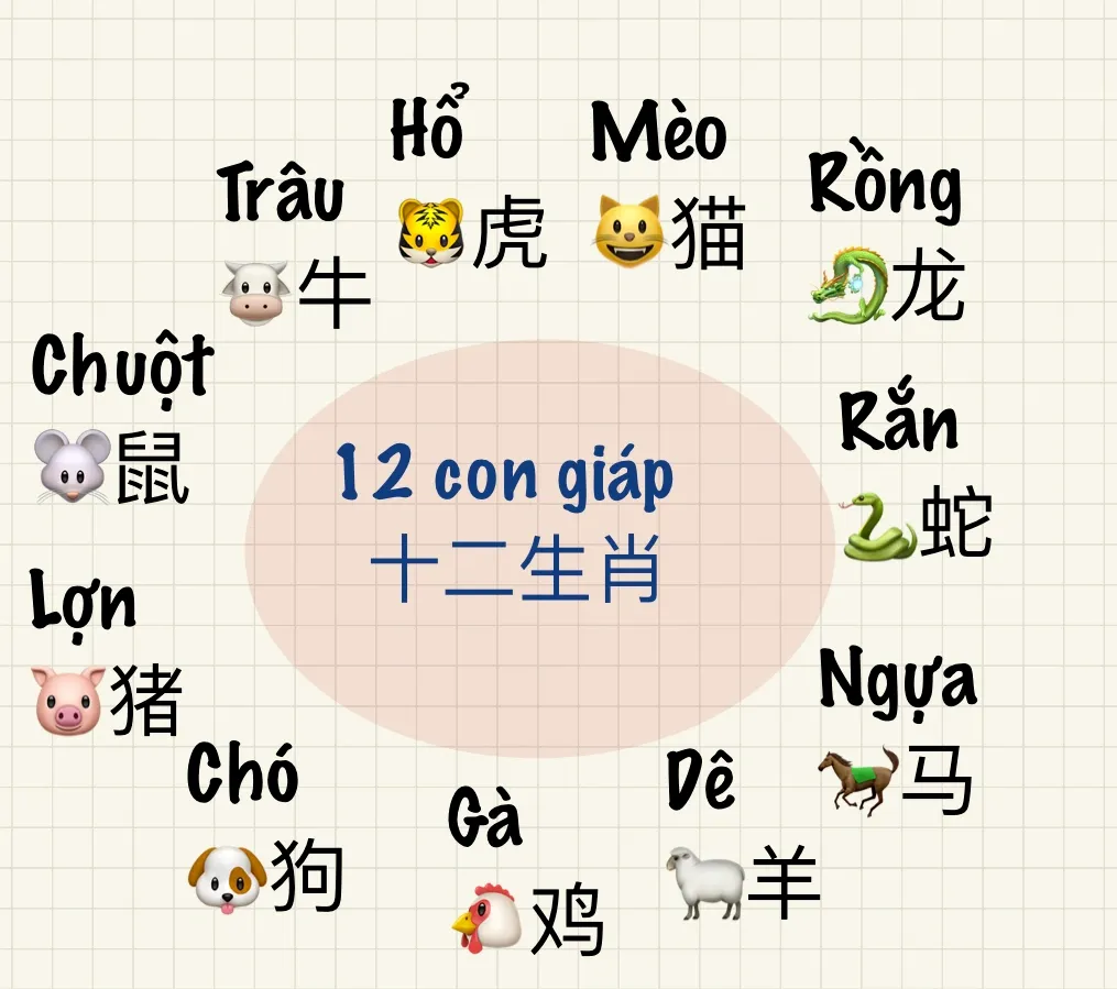 Tử vi 12 con giáp năm 2026: Phân tích vận mệnh theo góc nhìn mệnh lý phương Đông