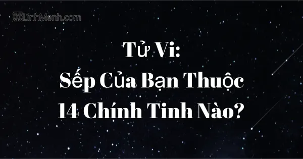 Giải Mã Cung Phụ Mẫu Trong Tử Vi: Sếp Của Bạn Thuộc 14 Chính Tinh Nào?