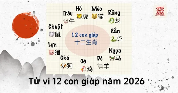 Tử vi 12 con giáp năm 2026: Phân tích vận mệnh theo góc nhìn mệnh lý phương Đông